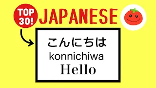 JAPANESE PHRASES For Absolute Beginners Basic Words With English Subtitles 