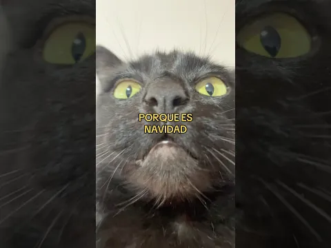 Lección 03/? 🫣 Álekai y Malaquita