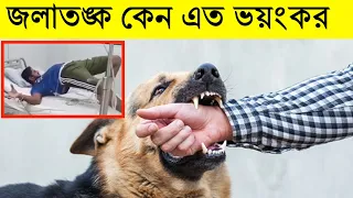 জলাতঙ্ক রোগ কিভাবে হয় | HOW DOES RABIES OCCUR?