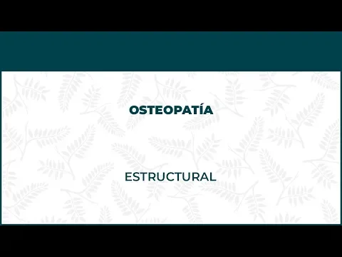 Osteopatía Estructural - FisioClinics Barcelona, Barna