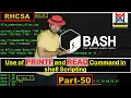 PRINTF and READ Commands in Shell Scripting Comprehensive Explanation and Script Creation Guide