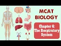 MCAT Biology Chapter 6 - The Respiratory System