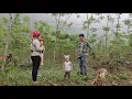 Download Lagu single mother bamboo house