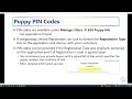 Managing Your Litters in AKC Breeder Toolkit
