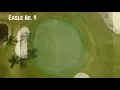 Okeeheelee Green Renovation Project - Eagle No 9