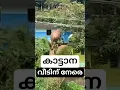 Download Lagu കോഴി ഓടിയ ഓട്ടം - ചെറിയ കലിപ്പല്ല - #wildelephant attack home - #wildanimals #wildlife #gudalur