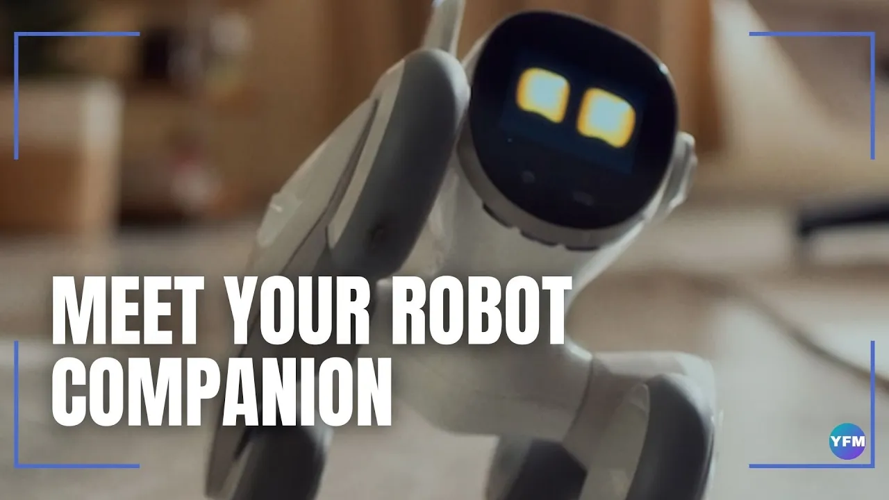 MEET YOUR ROBOT COMPANION