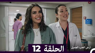 ارض الحب الجميل الحلقة ال 12 Arabic Dubbed 