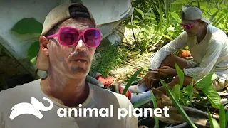 Frank Explora las Playas de México y Descubre a sus Curiosos Habitantes | Wild Frank En Mexico