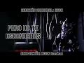 YOU CAN'T HIDE - FNAF SL l Cover Español l Ft. @AlexDevStyles l @CK9C