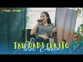 Download Lagu DINI KURNIA - TAU DADI CERITO|| ONE PRO FT ZULFAIS AUDIO [LIVE] ANIVVERSARY KE-7 PEMUDA ROWO BERSATU