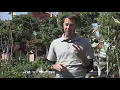What s a frost date A plant expert from McDonald Garden Center explains