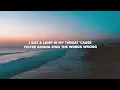 TWOPILOTS - Riptide (Lyrics)