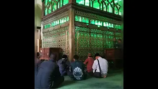 مديح في سيدي احمد البدوي حالة واتس يا مدد يا بويا مدد يا بدوي دندنها