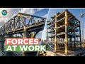 Structural Engineering Basics Loads Forces and Design