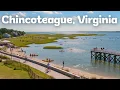 10 Best Things to Do in Chincoteague Virginia