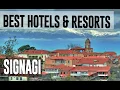 Best Hotels and Resorts in Signagi Georgia