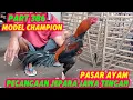 Download Lagu PART 386 🛑 PASAR AYAM PECANGAAN JEPARA JAWA TENGAH 