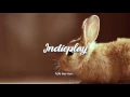 Download Lagu Stars and Rabbit - Rabbit Run + Lirik