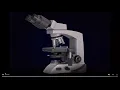 Microscopy Virtual lab