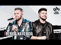 Bebida na Ferida - Zé Neto \u0026 Cristiano (Serestão Sertanejo)