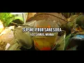 Download Lagu Sup Ine Ifrur Sanesora_(VOC. Sam Wanma)-Lagu bahasa daerah biak.