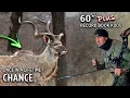 Download Lagu Bow Hunting a ONE in a MILLION African Kudu! | OVER 60 inches!!😳|
