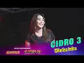 Download Lagu CIDRO 3 - Difarina Indra - Amelia Music | Nugroho Audio Terbaru