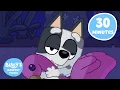 Magical Muffin Moments Full Episodes and more Bluey s Bestest Friends - Channel