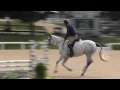 of CRISTAL ridden by BRANDON GIBSON from ShowNet