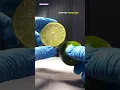 Lime Juice vs Germs Under Microscope