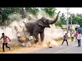 Luckiest People Ever Caught on Camera