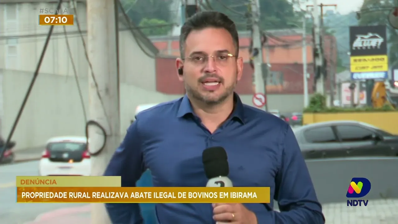 Após denúncias, polícia descobre propriedade rural que realizava abate ilegal de bovinos em Ibirama