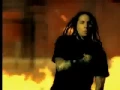 Download Lagu P.O.D. - School of Hard Knocks [Video]