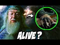 Why Didn t Dumbledore CUT OFF His CURSED Hand - Harry Potter Theory