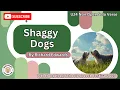 U24 Shaggy Dogs by Richard Edwards I P3 Girls (77th HK Schools Speech Festival 2025)