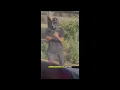 Ocala police say masked men filming people on public property is legal