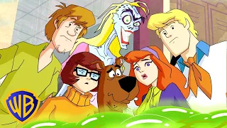Scooby Doo Mystery Incorporated Ghoul School Wbkids 