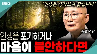 오늘이 힘들고 지치신다면, 이 영상 꼭 한번 봐주세요~능행 스님이 전하는 삶의 위로는? (능행스님)