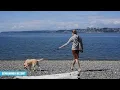 Places to Visit - Pet Friendly Hotels Bellingham WA