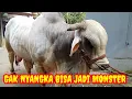 Download Lagu BEGITU MASUK BENGKEL‼️LANGSUNG MENYALA 💥💥💥