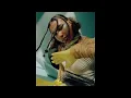 Lava La Rue - Vest & Boxers (Official Audio)