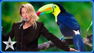 جينيفيف كوت تبهر الحكام بانطباعات حيوانات غير حقيقية   الاختبارات   بي جي تي      دندنها