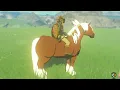 How to use Unlimited Amiibo Scan and get Epona in Tears of the Kingdom Yuzu Emulator