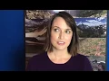 Julie Ann Emery - Dear Diabetes