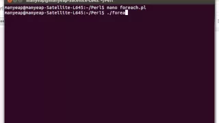 Perl Foreach Loop Example