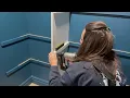 How To Build SIMPLE and CHEAP DIY Closet Shelves with Melamine