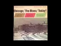 Homesick James And His Dusters – Somebody Been Talkin'
