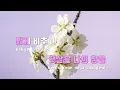 [TJ노래방] Sweet Dream - 장나라 / TJ Karaoke