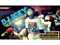 Download Lagu DJ Icey - Beats A Rockin' (BreakBeat) HQ Audio